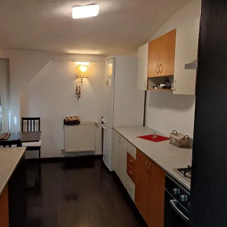 Dorobanti Loft *