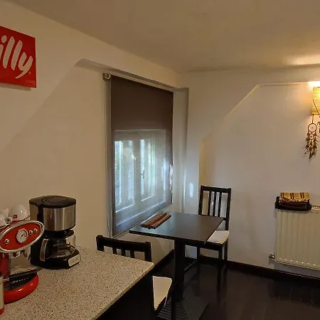 דירה Dorobanti Loft